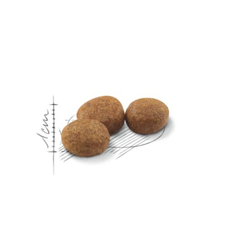 10 Kg Royal Canin Sterilised pienso para gatos - Imagen 2