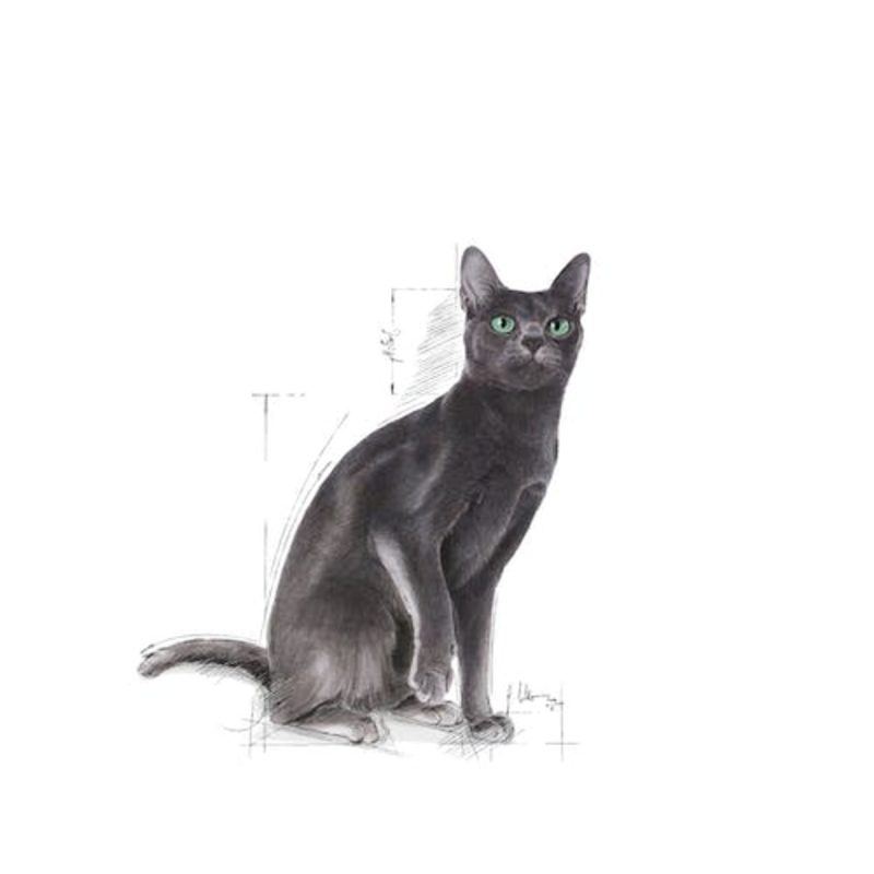 10 Kg Royal Canin Sterilised pienso para gatos - Imagen 3