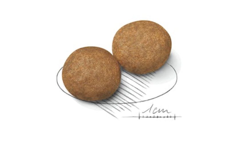 15 Kg Royal Canin Medium Adult pienso para perros - Imagen 2