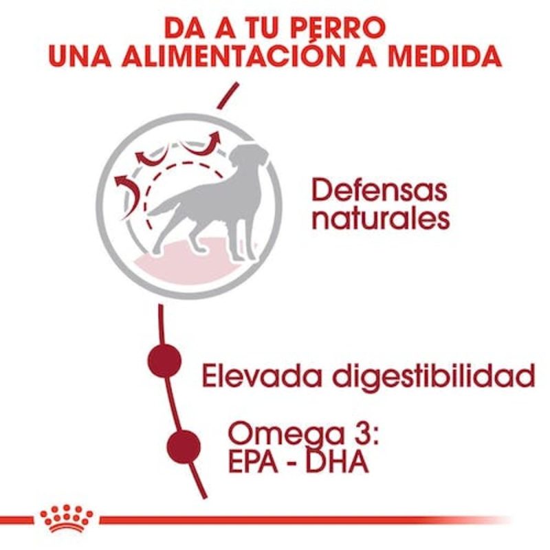 15 Kg Royal Canin Medium Adult pienso para perros - Imagen 7