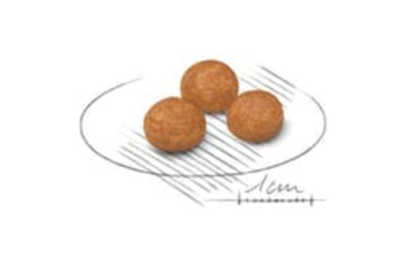 1,5 kg Royal Canin X-Small Adult - Imagen 2