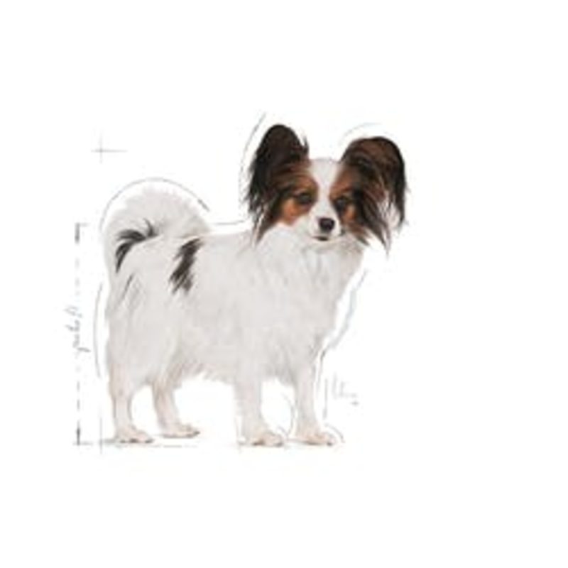1,5 kg Royal Canin X-Small Adult - Imagen 3