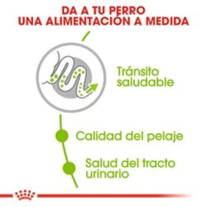 1,5 kg Royal Canin X-Small Adult - Imagen 5
