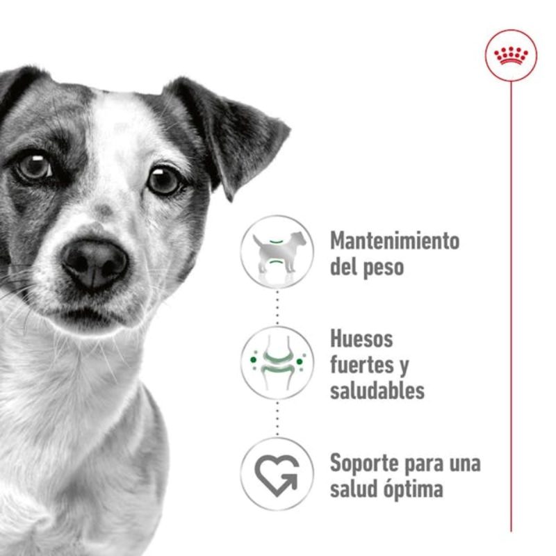 2 Kg Royal Canin Mini Adult - Imagen 4