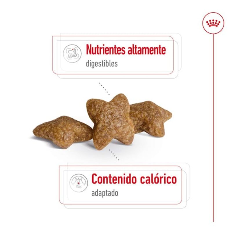 2 Kg Royal Canin Mini Adult - Imagen 5