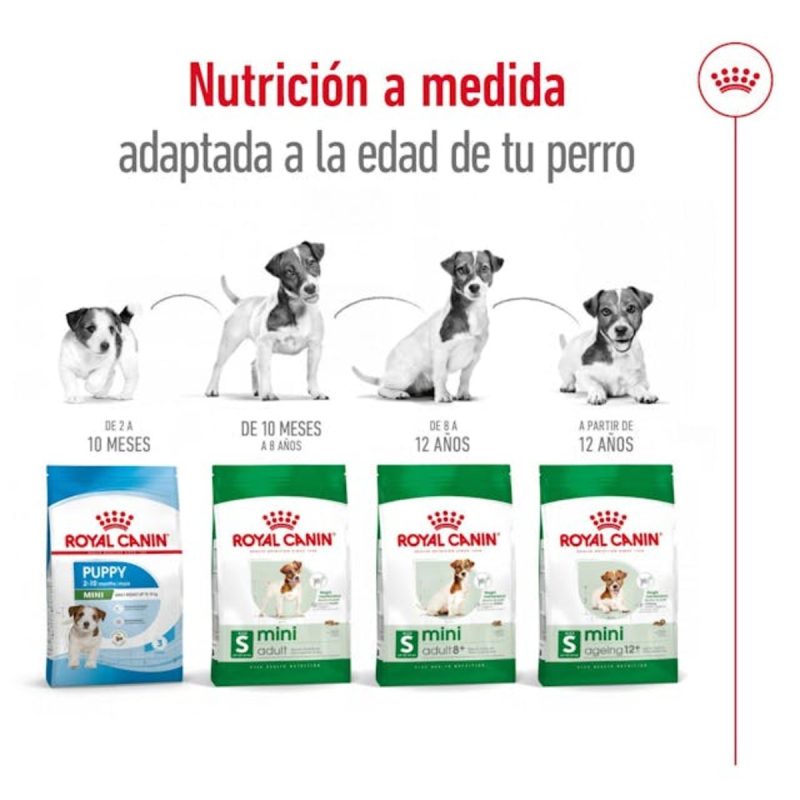 2 Kg Royal Canin Mini Adult - Imagen 7