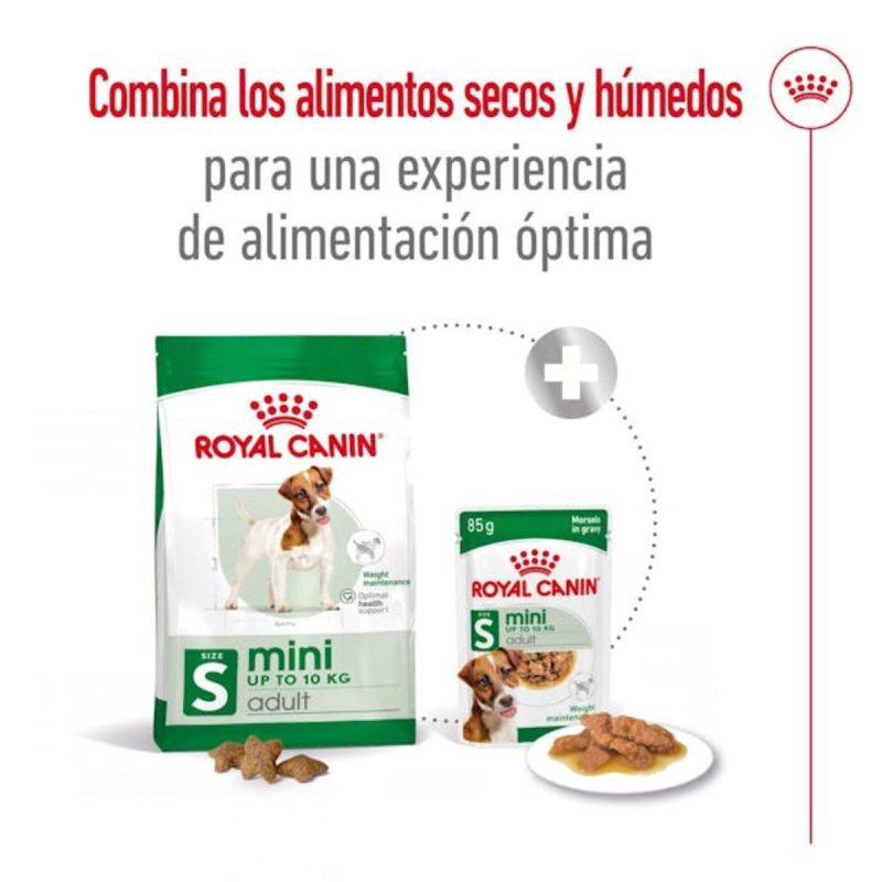 2 Kg Royal Canin Mini Adult - Imagen 8