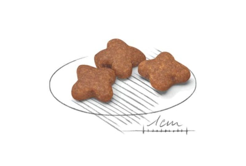2 Kg Royal Canin Mini Adult 8+ - Imagen 2