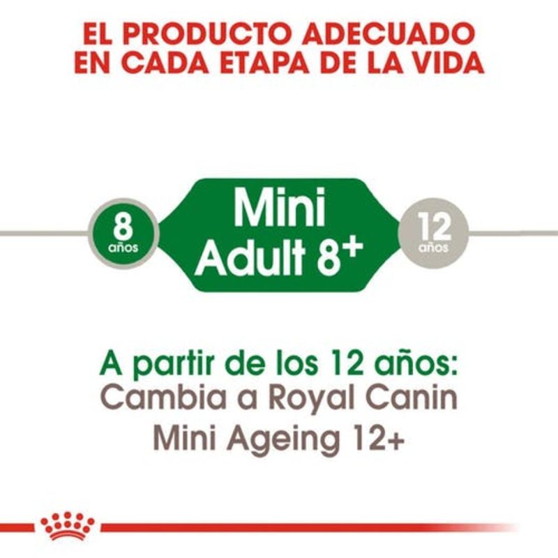 2 Kg Royal Canin Mini Adult 8+ - Imagen 5