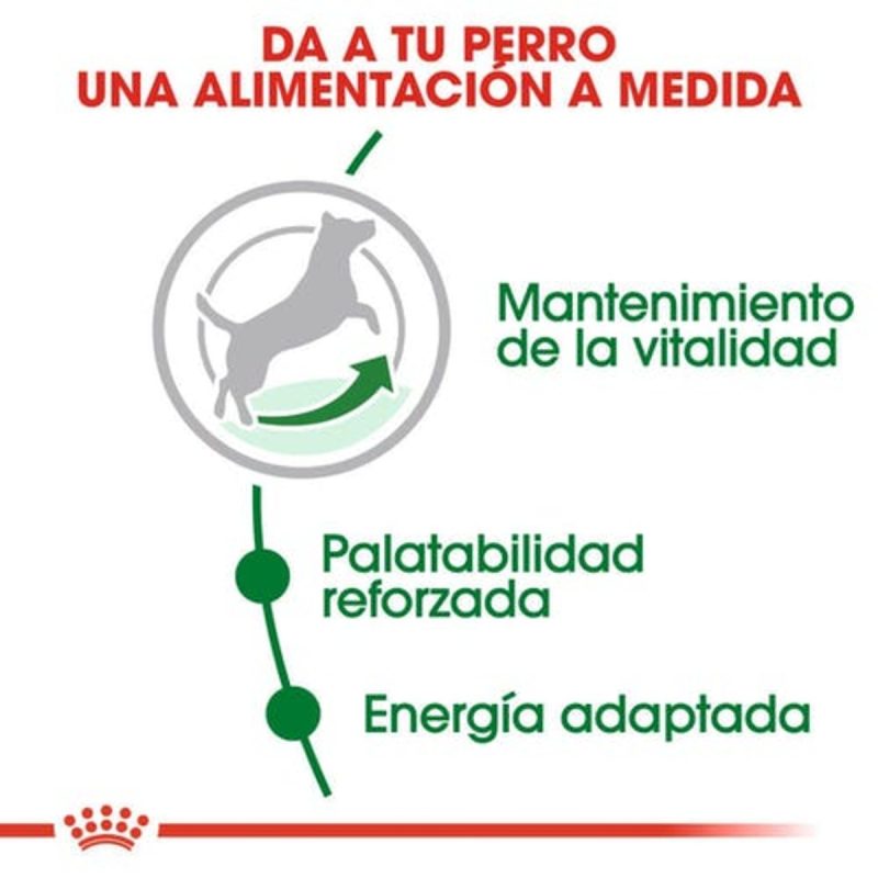 2 Kg Royal Canin Mini Adult 8+ - Imagen 6
