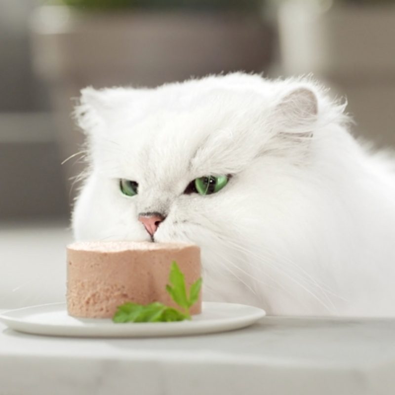Caja de 24 unidades Lata Gourmet Gold Mousse Salmón para gatos 85 g - Imagen 3