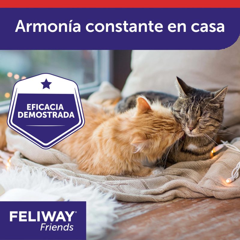 Feliway Friends Difusor + Recambio 48 ml - Imagen 6