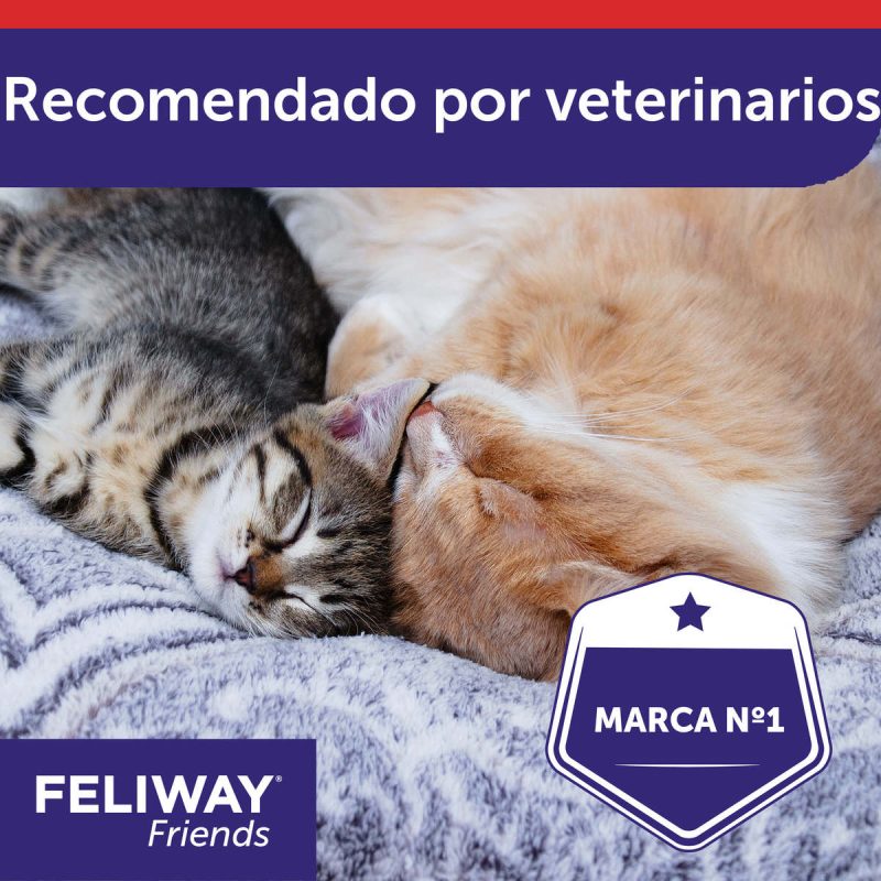 Feliway Friends Recambio 48 ml - Imagen 6