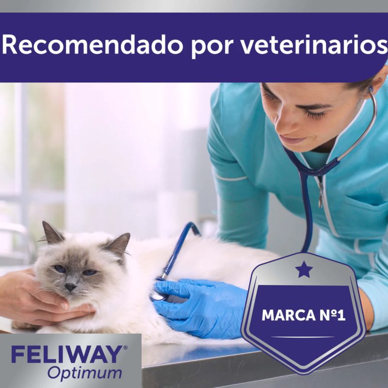 Feliway Optimum Recambio 3 Meses - Imagen 7