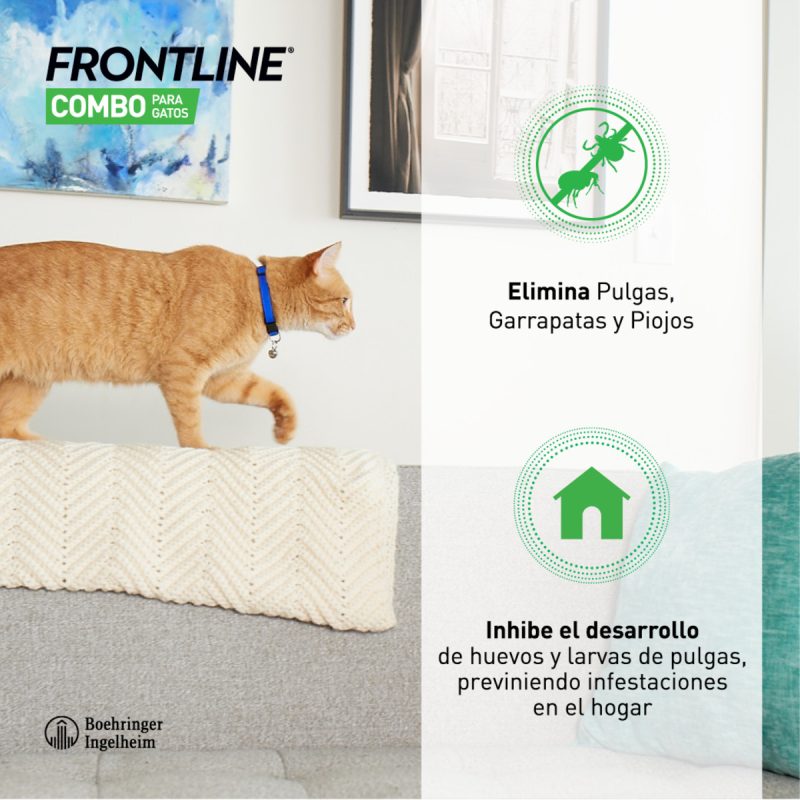 Frontline Combo Gatos 3 Pipetas - Imagen 3