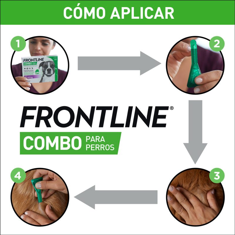 Frontline Combo Perro 2-10 kg  3 Pipetas - Imagen 3