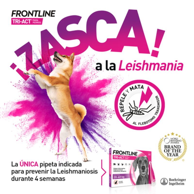 Frontline Tri-Act 2-5 kg, 3 pip. - Imagen 3