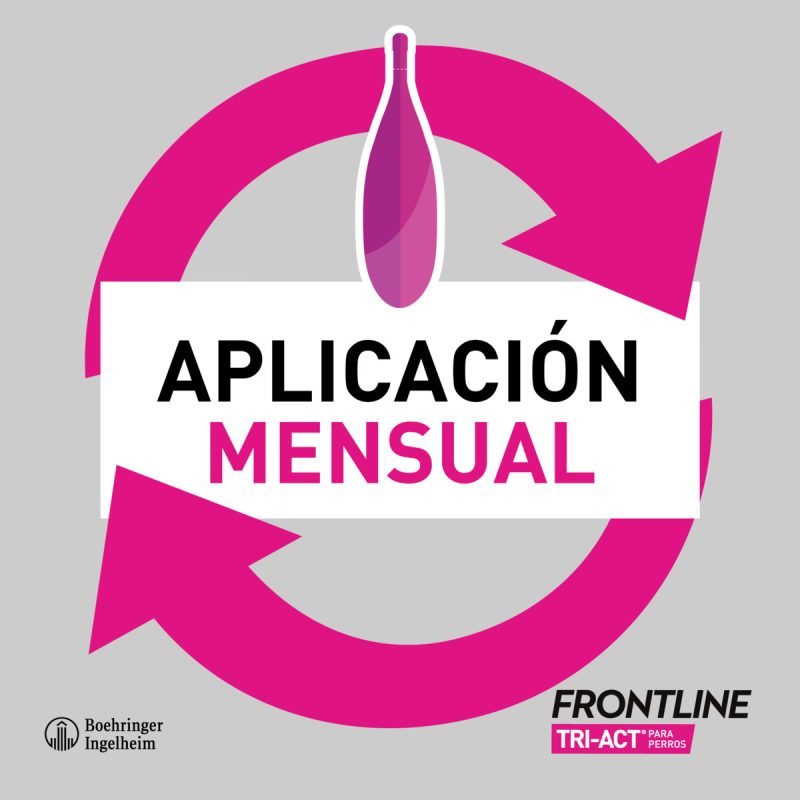 Frontline Tri-Act 5-10 kg 6 pipetas - Imagen 4