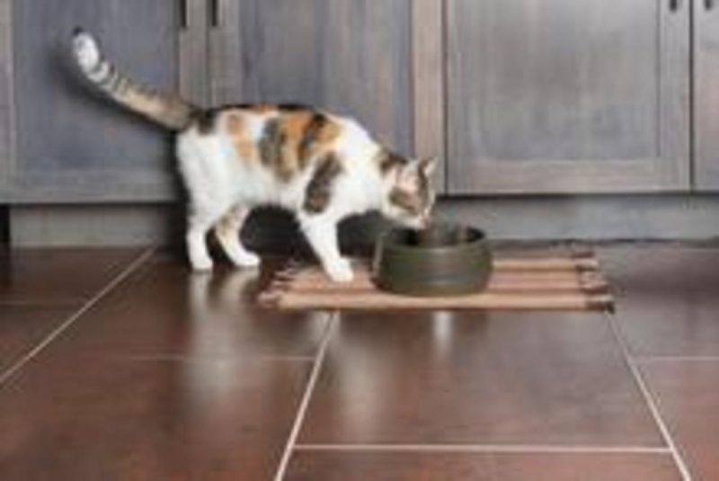 Fuente Mascotas Drinkwell, 1,2L - Imagen 4