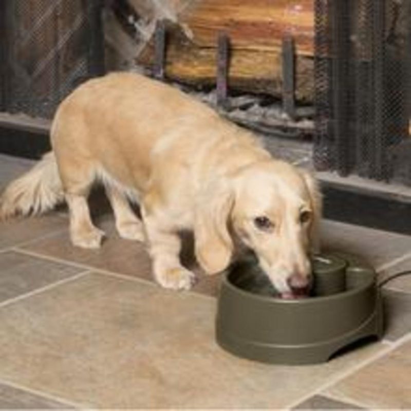 Fuente Mascotas Drinkwell, 1,2L - Imagen 5