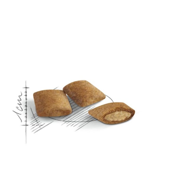 Royal Canin Ageing +12, 4 kg - Imagen 3