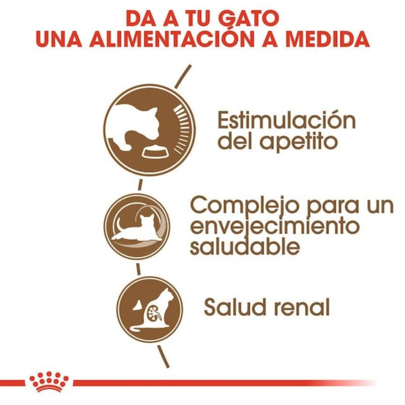 Royal Canin Ageing +12, 4 kg - Imagen 4