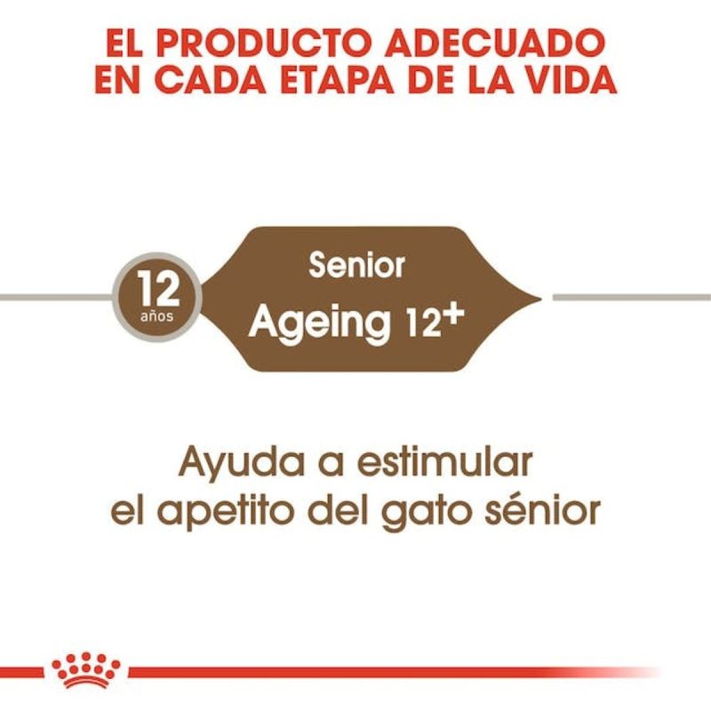 Royal Canin Ageing +12, 4 kg - Imagen 5