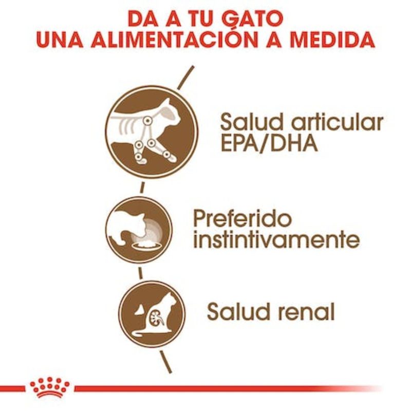 Royal Canin Ageing +12 Gravy, 85 Gr - Imagen 7