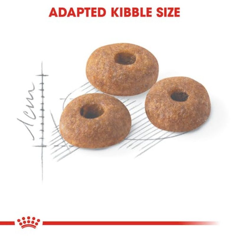 Royal Canin Fit 32, 2 kg - Imagen 2