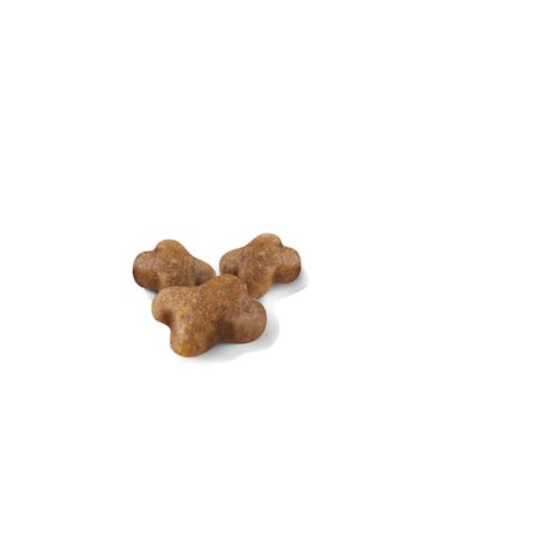 Royal Canin Kitten, 10 kg - Imagen 2