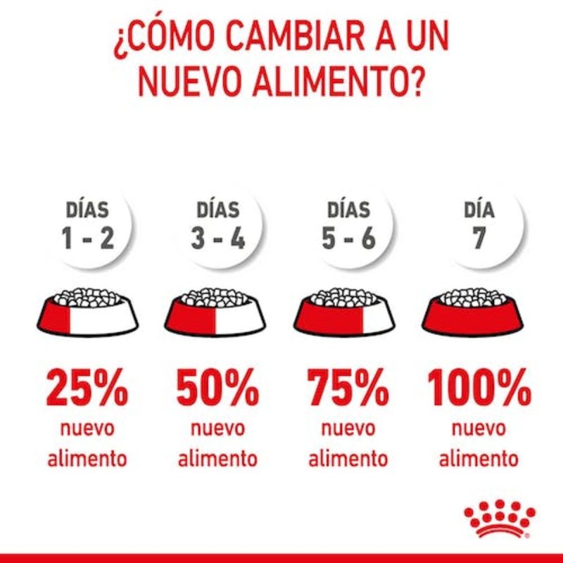 Royal Canin Kitten, 10 kg - Imagen 5