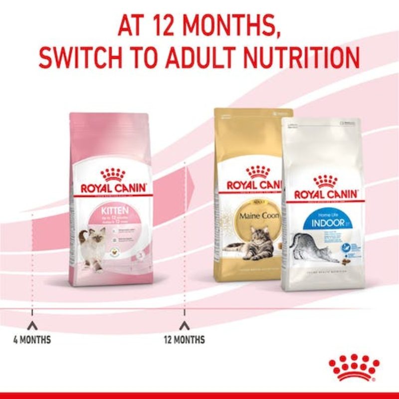Royal Canin Kitten, 10 kg - Imagen 8