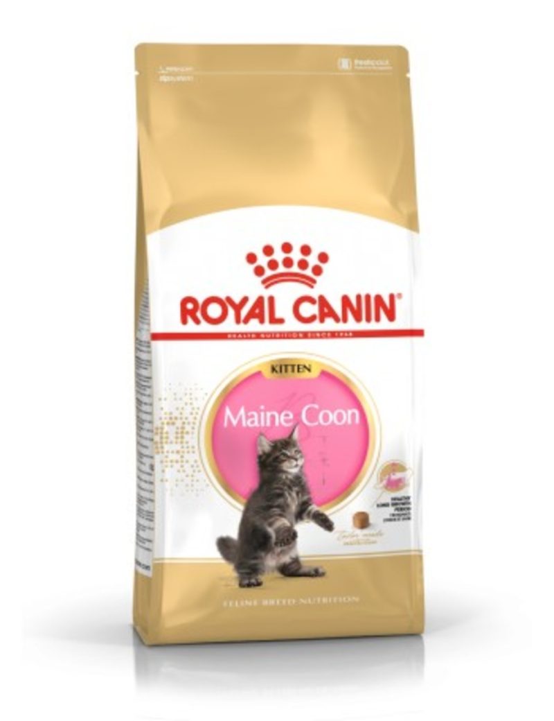 Royal Canin Kitten Maine Coon - Saco 4 KG
