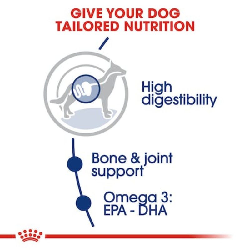 Royal Canin Maxi Adult ,10 kg - Imagen 5
