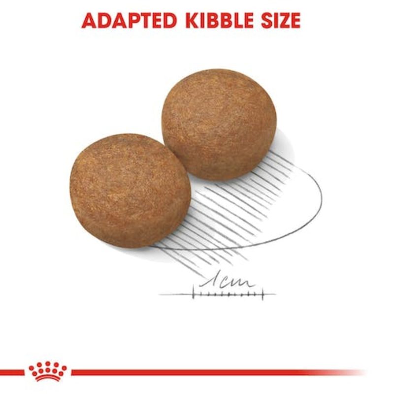 Royal Canin Maxi Adult ,10 kg - Imagen 6