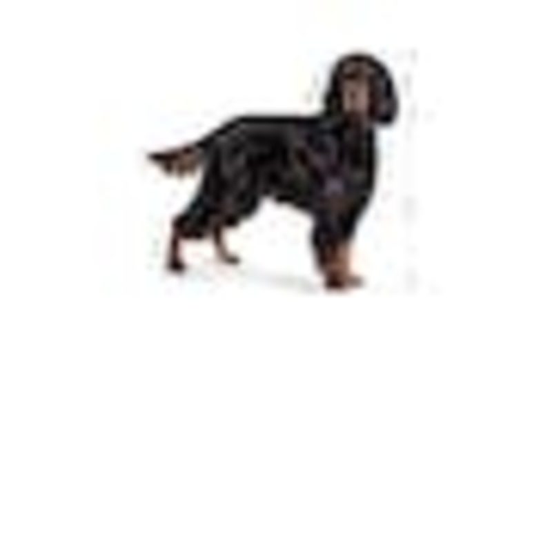 Royal Canin Maxi Sterilised, 12 kg - Imagen 3