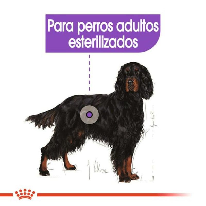 Royal Canin Maxi Sterilised, 12 kg - Imagen 4