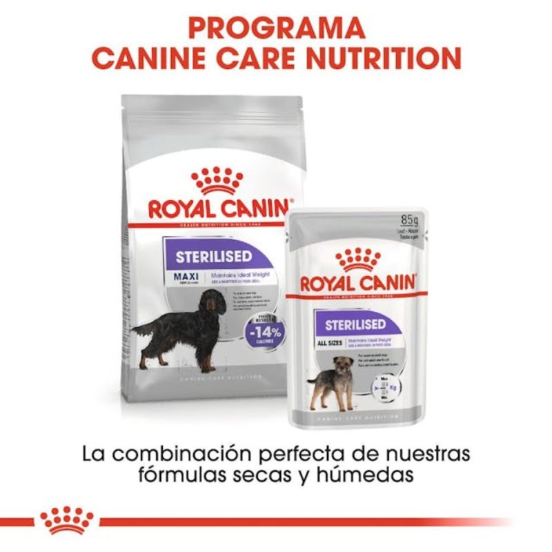 Royal Canin Maxi Sterilised, 12 kg - Imagen 6