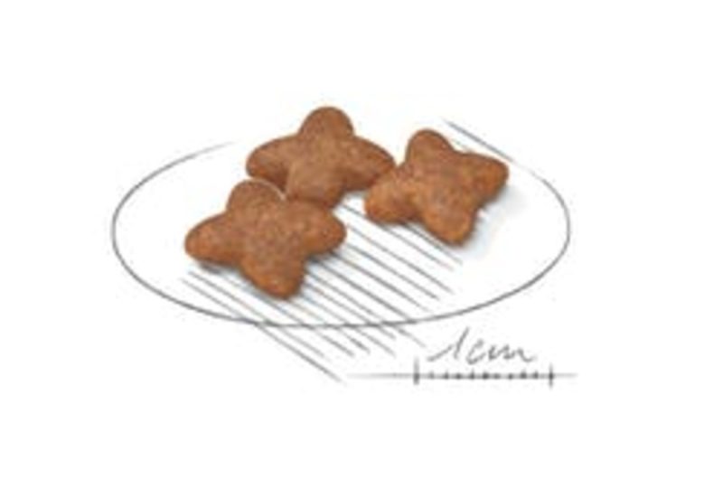 Royal Canin Mini Adult , 8 kg - Imagen 2