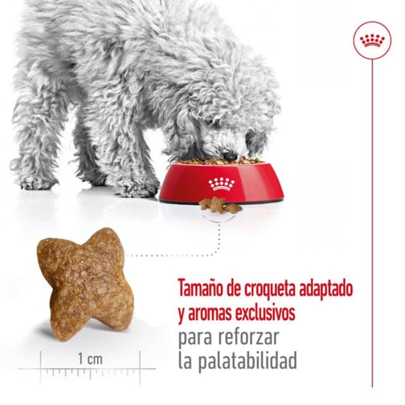Royal Canin Mini Adult , 8 kg - Imagen 6