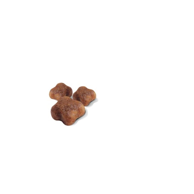 Royal Canin Mother & BabyCat, 4 kg - Imagen 2