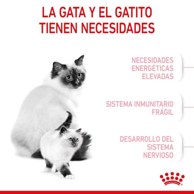 Royal Canin Mother & BabyCat, 4 kg - Imagen 6