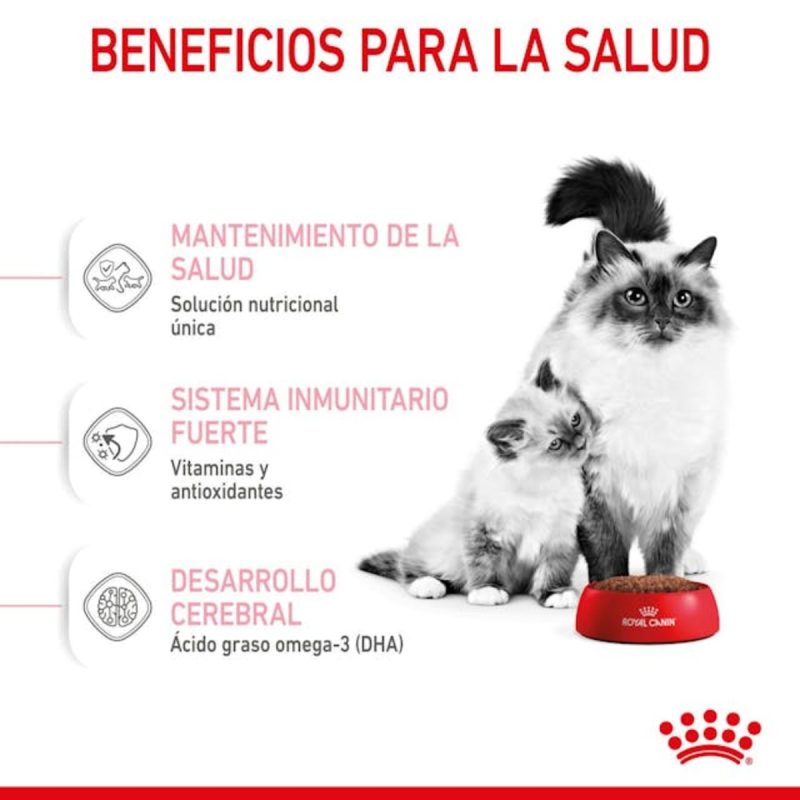 Royal Canin Mother & BabyCat, 4 kg - Imagen 7