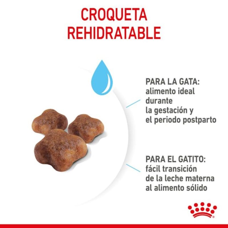 Royal Canin Mother & BabyCat, 4 kg - Imagen 8