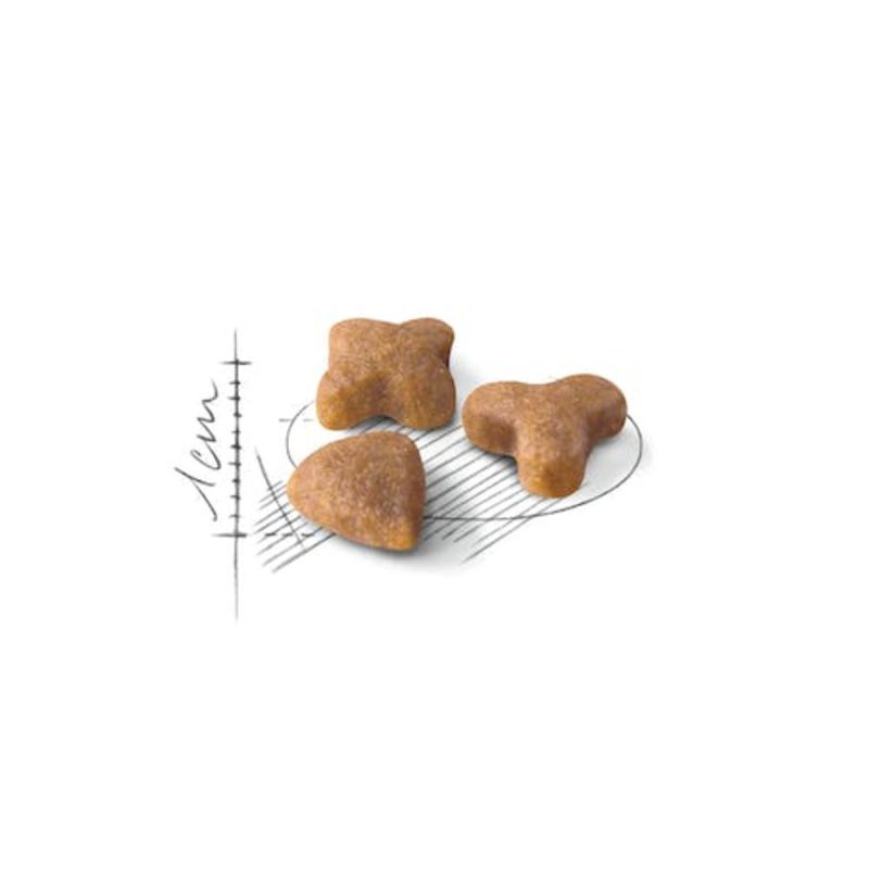 Royal Canin Sensible, 10 kg - Imagen 2