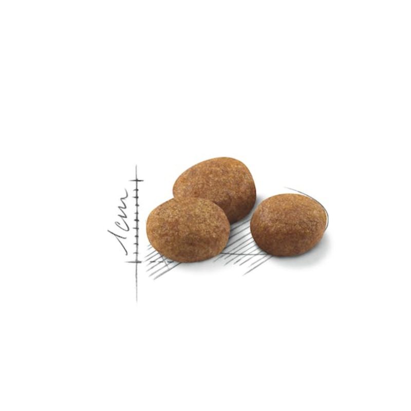 Royal Canin Sterilised +7, 3,5 kg - Imagen 2
