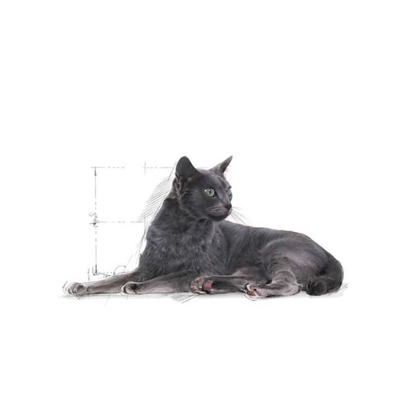 Royal Canin Sterilised +7, 3,5 kg - Imagen 3
