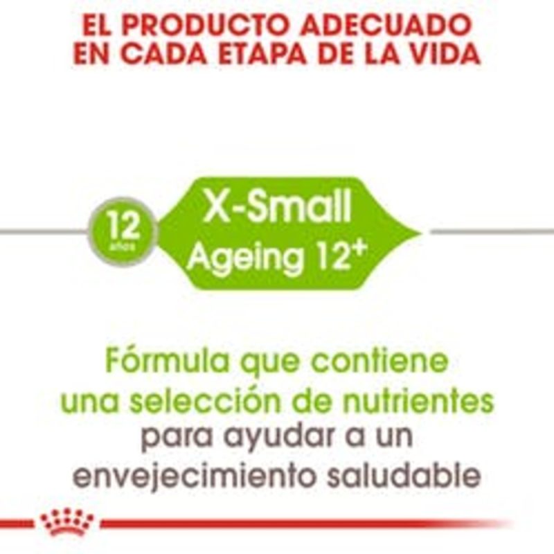 Royal Canin  X-Small Adult 500 gr - Imagen 6