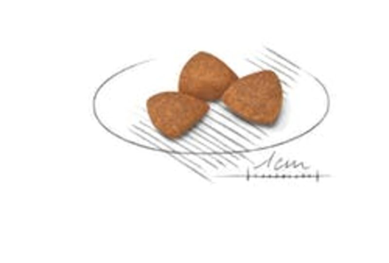 Royal Canin X-Small Ageing 12+, 1,5 kg - Imagen 2