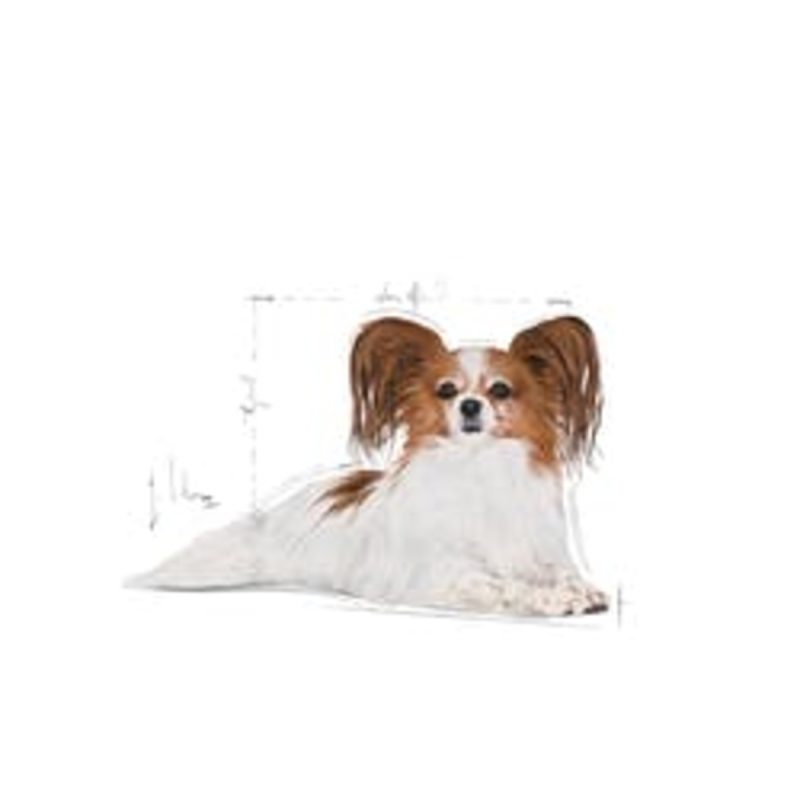Royal Canin X-Small Ageing 12+, 1,5 kg - Imagen 3